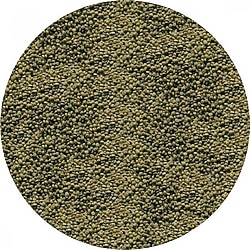 Sera Granugreen 100 gr Kovadan Bölme Balık Yemi