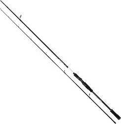 Shimano Bassterra XT+ 244 cm 4-21 gr 2 Parçalı Spin Kamış