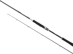 Shimano Moonshot Spinning Inshore S96M 290 cm 8-42 gr 2 Parçalı Spin Kamış