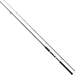 Shimano Salty Advance Seabass 290 cm 6-32 gr 2 Parçalı Spin Kamış