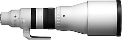 Sigma 300-600mm f/4 DG OS Sports Lens