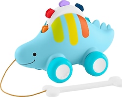 Skip Hop Explore and More Dinosaur 3'ü 1 arada Oyuncak