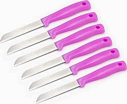 Solingen Tırtıklı Simli Açık Pembe 6'lı Meyve Bıçağı