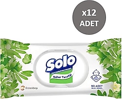 Solo Bahar Tazeliği 90 Yaprak 12'li Paket Islak Mendil