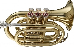 Stagg WS-TR245 Bb Pocket Trompet