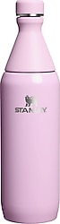 Stanley The All Day Slim Pembe 0.60 lt Soğuk Su Termosu