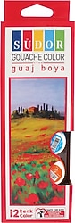 Südor 20 ml 12'li Guaj Boya