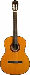 Takamine GC1 NAT Klasik Gitar