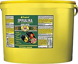 Tropical Super Spirulina Forte 100 gr Pul Yem - Kovadan Bölme
