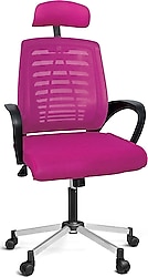 Türksit Karizma File Krom Ayaklı Müdür Koltuğu Pembe