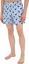 U.S. Polo Assn 50282921 Erkek Deniz Şortu