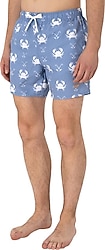 U.S. Polo Assn 50299766 Erkek Deniz Şortu