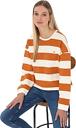 U.S. Polo Assn 50313563 Kadın Sweatshirt