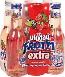 Uludağ Frutti Extra Orman Meyveli 6x250 ml