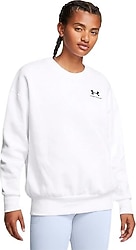 Under Armour Icon Fleece 1379475 Kadın Oversize Sweatshirt
