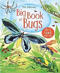 Usborne - Big Book Of Bugs