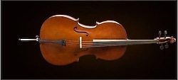 Valencia CE160G44 4/4 Çello