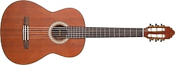 Valencia CGLTD2 Klasik Gitar