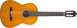 Valencia VC204 Natural Klasik Gitar