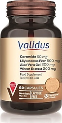 Validus Ceramide + Löykotomos Fern + Aloe Vera + Wheat Extract 200 mg 60 Kapsül