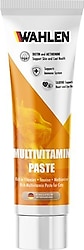 Wahlen Multivitamin 100 ml Kedi Macunu