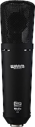 Warm Audio WA-87 R2 Geniş Diyafram Condenser Mikrofon