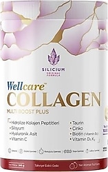 Wellcare Collagen Multi Boost Plus Toz Form 10.000 mg 345 gr