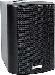 Westa WS-4TB 4 inç 100 W 2'li Trafolu Kabin Hoparlör