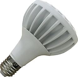YCL YSA-2025 25 W E27 PAR30 Beyaz Işık Led Ampul