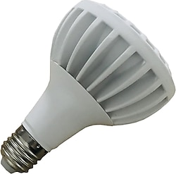 YCL YSA-2025 25 W E27 PAR30 Led Ampul