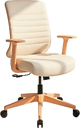 Zeon Büro Comfort Pastel Plus Çalışma Koltuğu