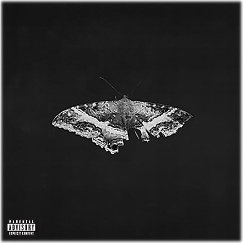 Kendrick Lamar - To Pimp A Butterfly Plak Fiyatları, Özellikleri