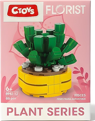 Ctoys Florist Burçlar Pisces Saksılı Bitki Yapım Seti Fiyatları
