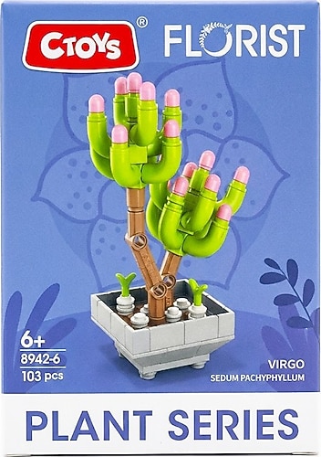 Ctoys Florist Burçlar Virgo Saksılı Bitki Yapım Seti Fiyatları
