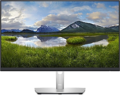 Dell P2423DE 23.8