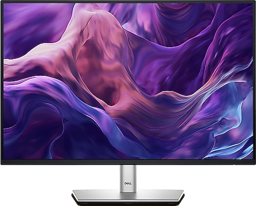 Dell P2425E 24
