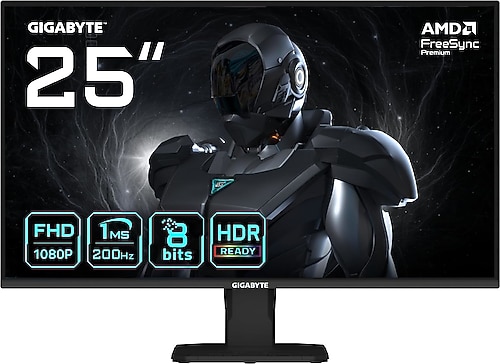 Gigabyte GS25F2 24.5