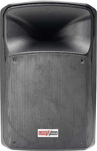 Lastvoice LX-10YN 10 inç 450W Profesyonel Kabin Hoparlör Fiyatları