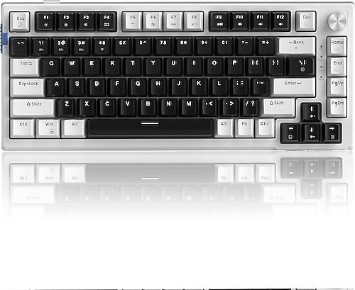 MageGee SKY81 RGB %75 TKL Blue Whale Switch Kablolu/Kablosuz