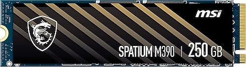 MSI 250 GB Spatium M390 M.2 PCI-Express 3.0 SSD