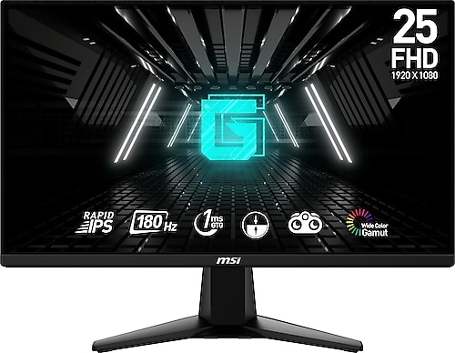 MSI G255F 24.5