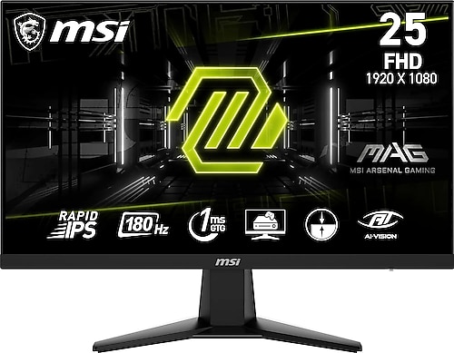 MSI MAG 256F 24.5