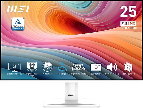 MSI PRO MP251W E2 24.5