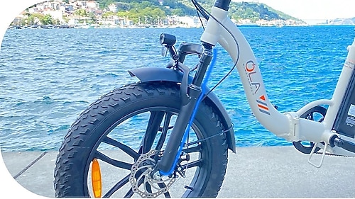 Ola Electrofold EFB4 250 W Katlanabilir Elektrikli Bisiklet