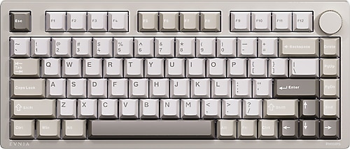 Philips Evnia SPK8618 Gri RGB %75 TKL Kablolu/Kablosuz Mekanik