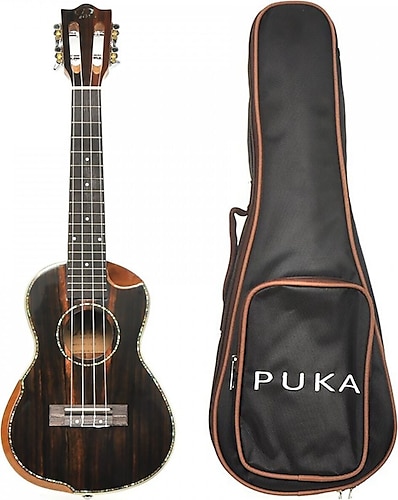 Ukulele shop koa concert