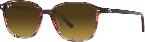 Ray-Ban Leonard 2193 138085 Striped Brown-Brown Güneş Gözlüğü