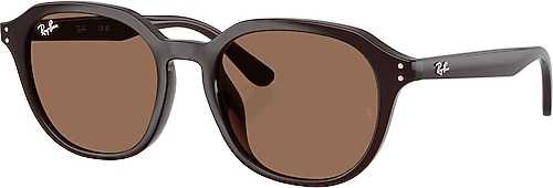 Ray-Ban 4459D 623173 Brown-Dark Brown Güneş Gözlüğü