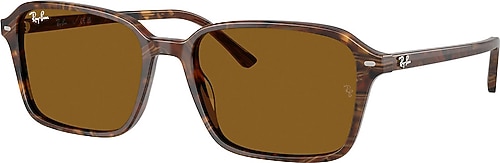 Ray-Ban Raimond 2231 141833 Brown Güneş Gözlüğü