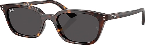 Ray-Ban Zaya 4456 135987 Havana-Dark Grey Güneş Gözlüğü Fiyatları